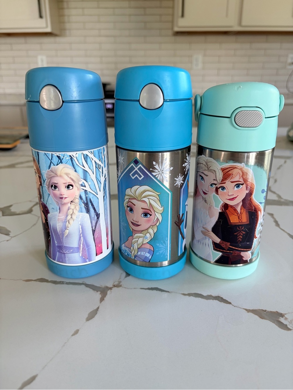 Frozen Thermos stainless steel bottles